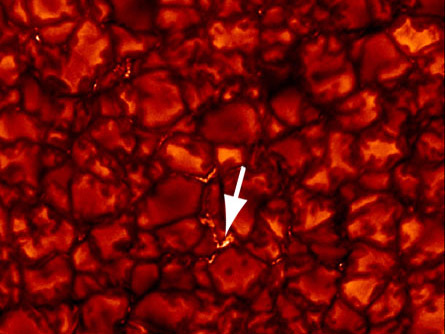 Onda de calor: O Telescópio Solar Sueco de 1 metro captou esta imagem de uma região aproximada de 8.000×8.000 quilômetros da superfície do Sol. Os cientistas observaram as ondas Alfvén oscilando a partir  deste ponto brilhante perto do centro da imagem, uma área altamente magnetizada. Crédito: D. Jess 